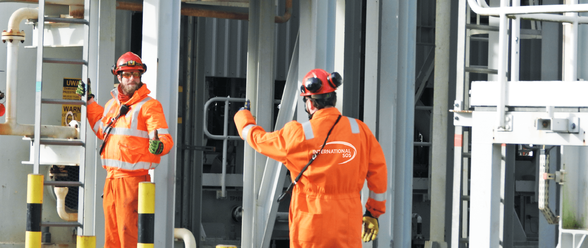 为什么与国际 SOS 合作？